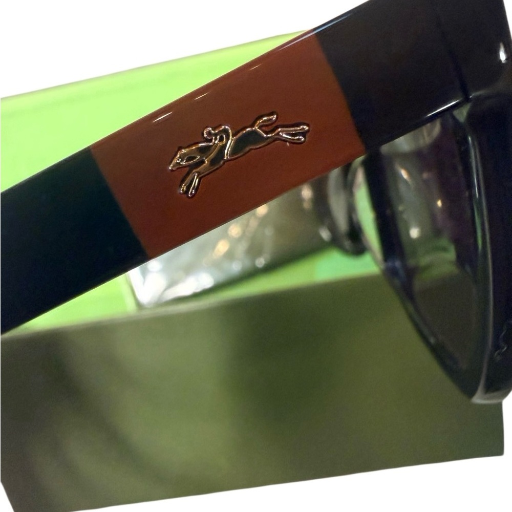 NWT LONGCHAMP Cat Eye Sunglasses LO715S 001 5418 140 - Picture 3 of 13